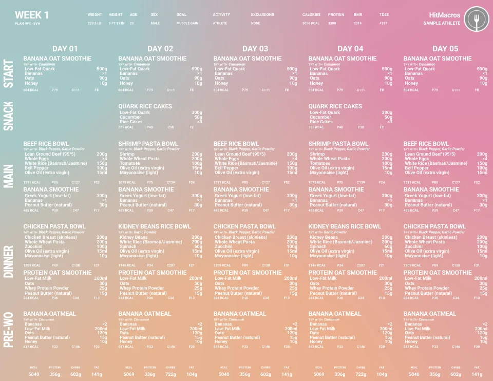 Preview of a HitMacros meal-plan page in the selected visual style